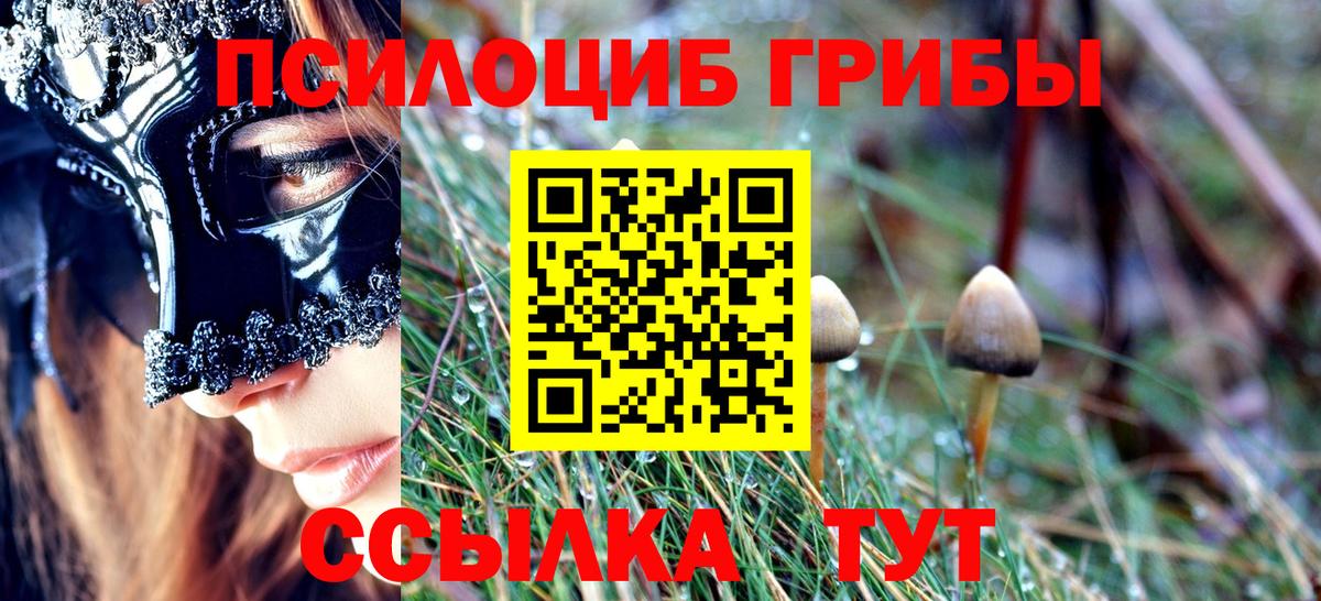Псилоцибиновые грибы Psilocybe  Галлюциногенные грибы MAGIC MUSHROOMS  Воткинск 