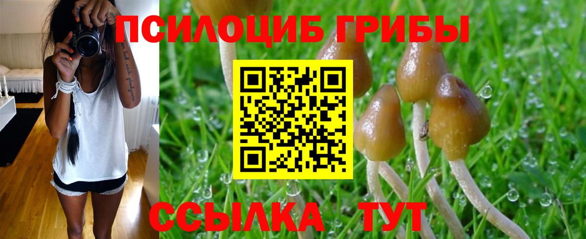 Галлюциногенные грибы Psilocybine cubensis Воткинск