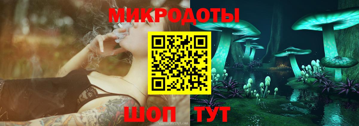 как найти   Вход с VPN  Воткинск  Псилоцибиновые грибы Psilocybine cubensis 